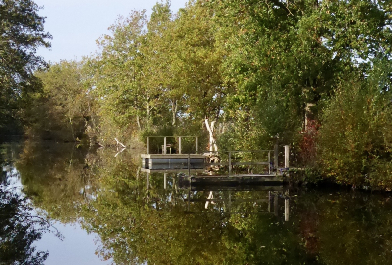 image_6487327-2